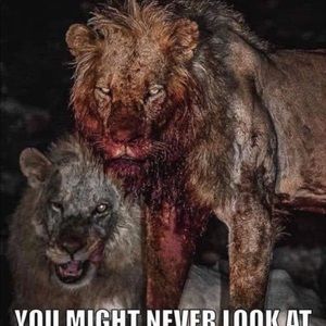 Meet your Posher, Larry